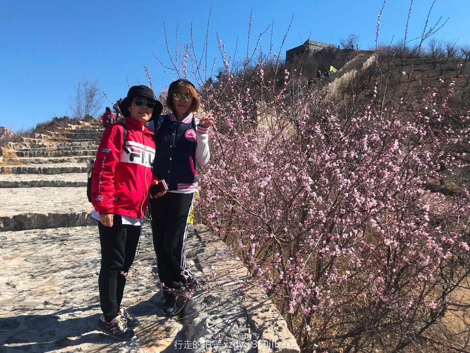 mmexport1553522453163