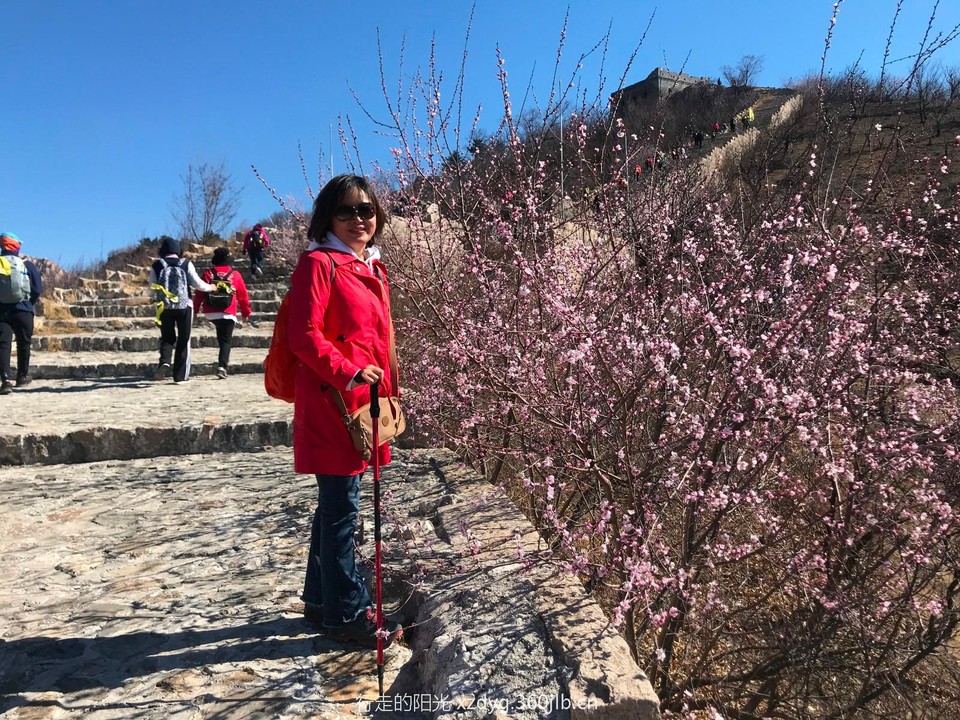 mmexport1553522441660