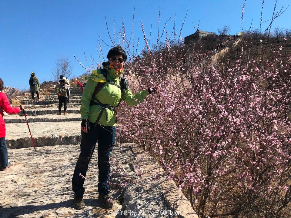 mmexport1553522427359