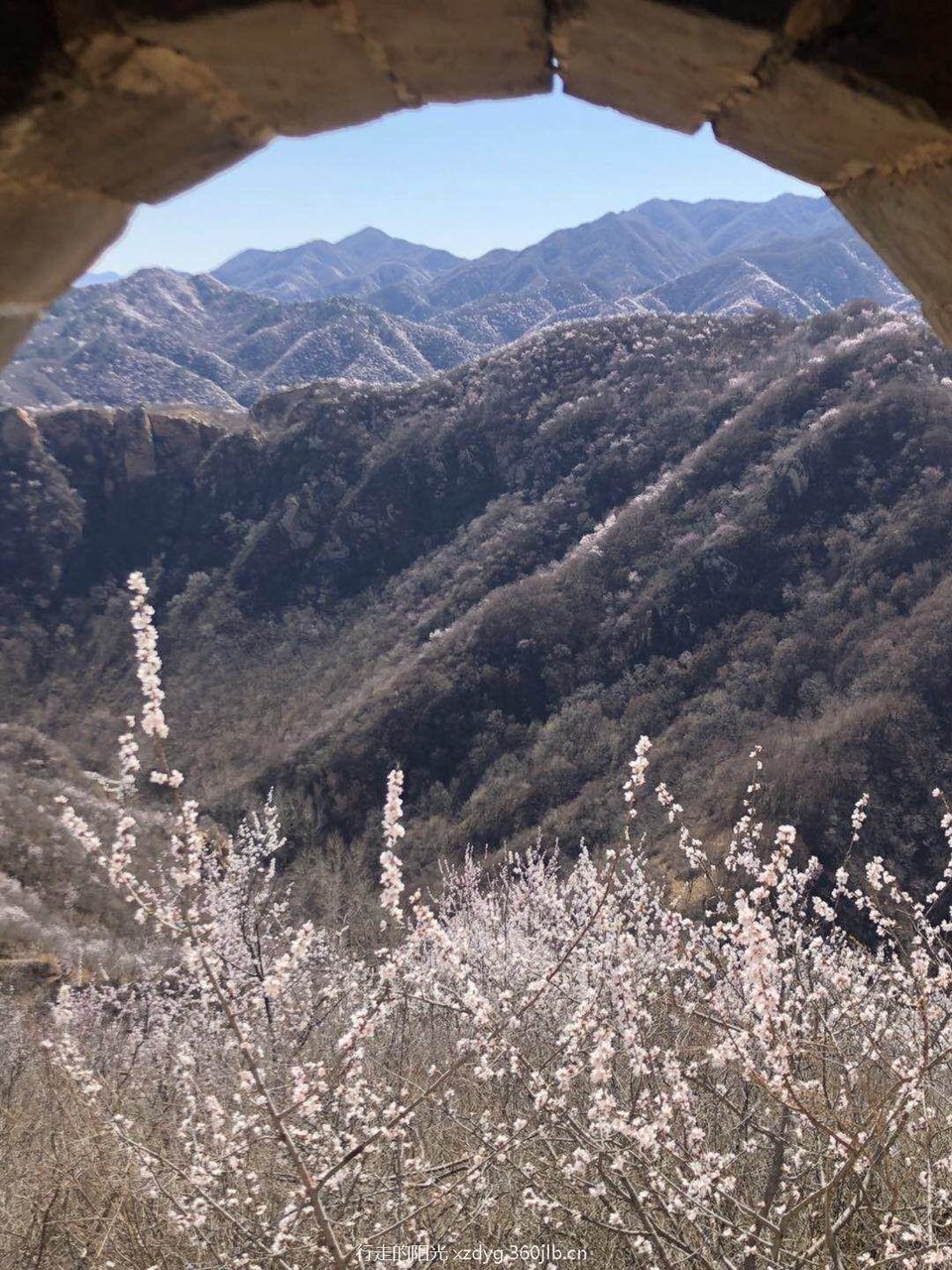 mmexport1553522298619