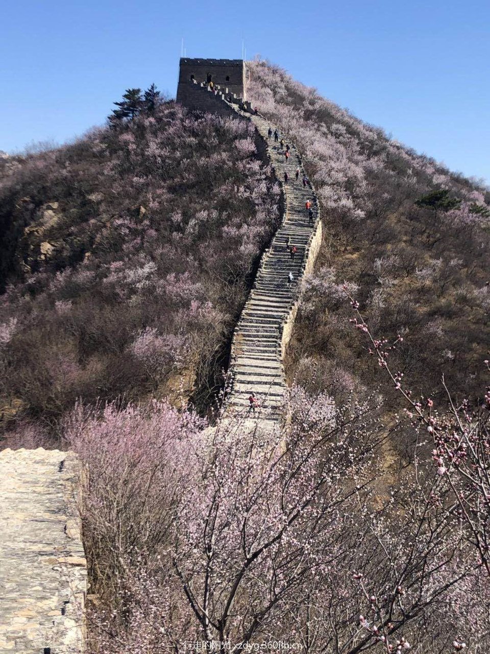 mmexport1553521898828