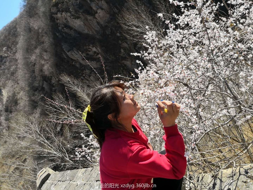 mmexport1553521943933