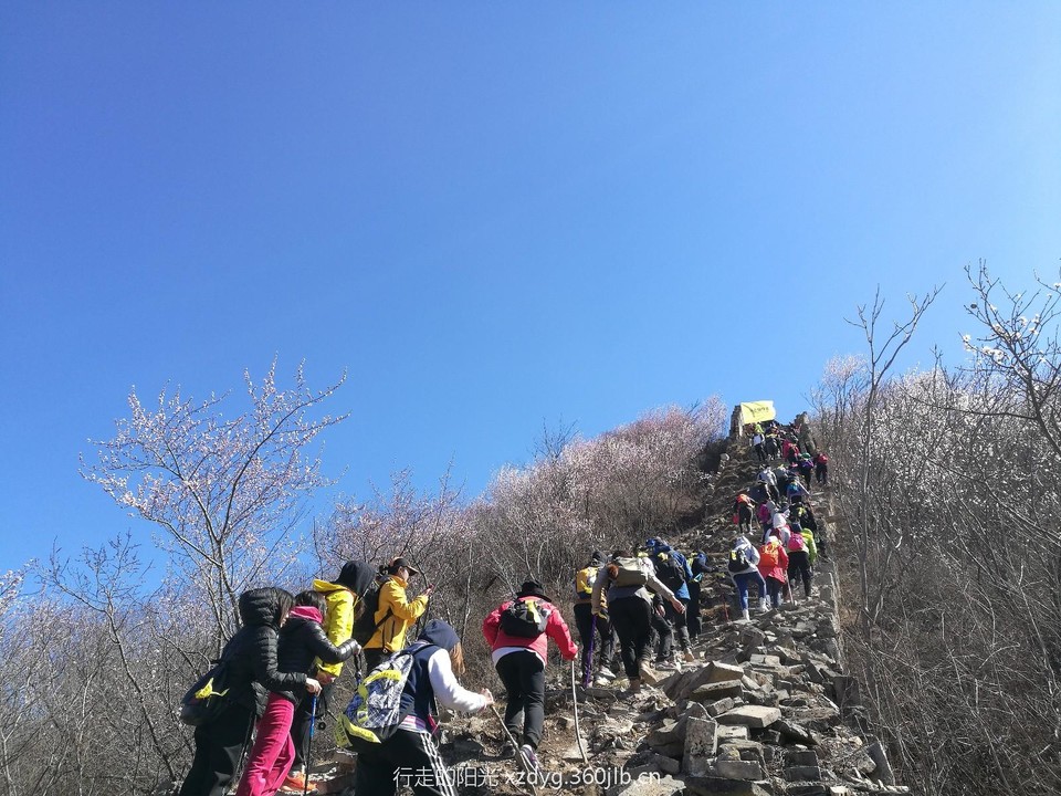 mmexport1553522201070