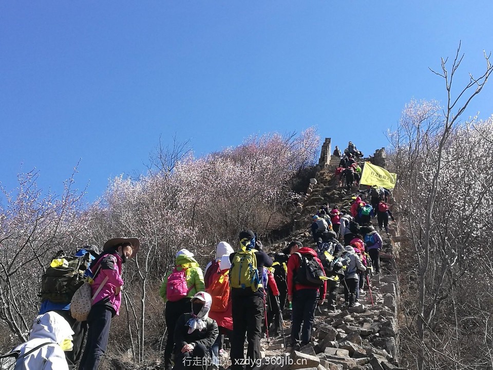 mmexport1553522250665