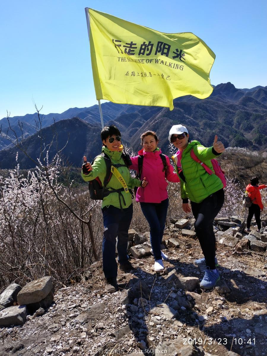 mmexport1553522698051