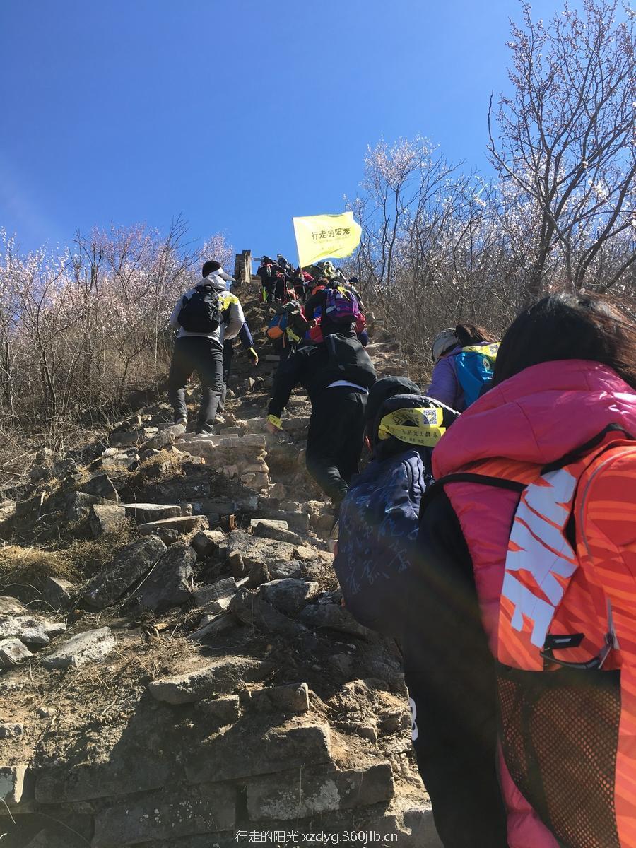 mmexport1553522067723