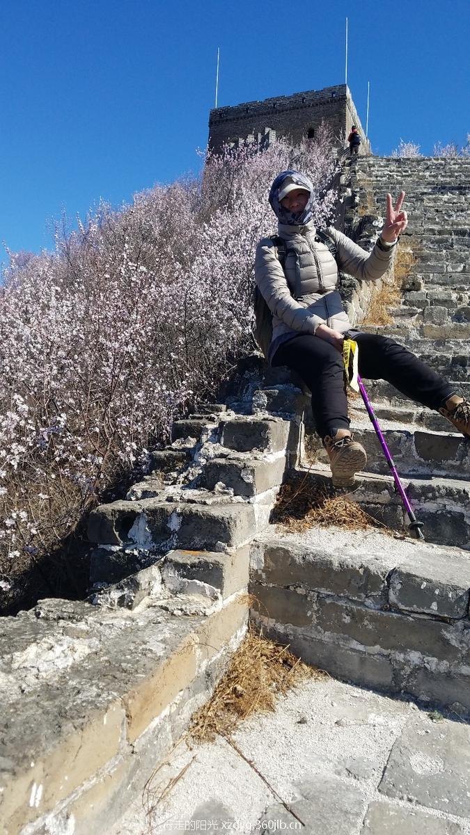 mmexport1553522839696