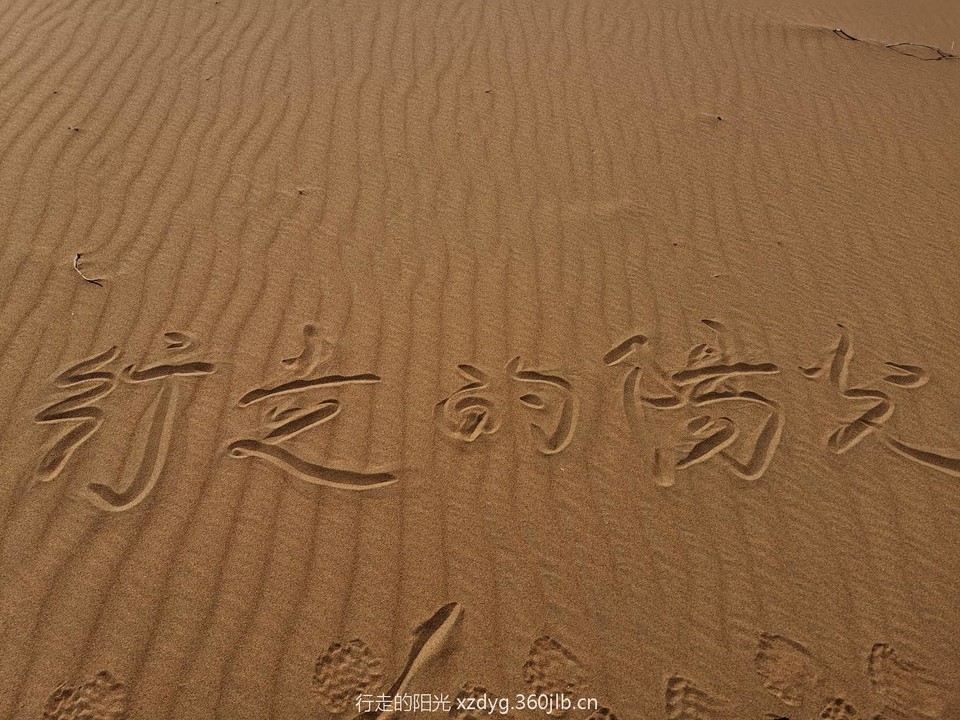 mmexport1554168827537