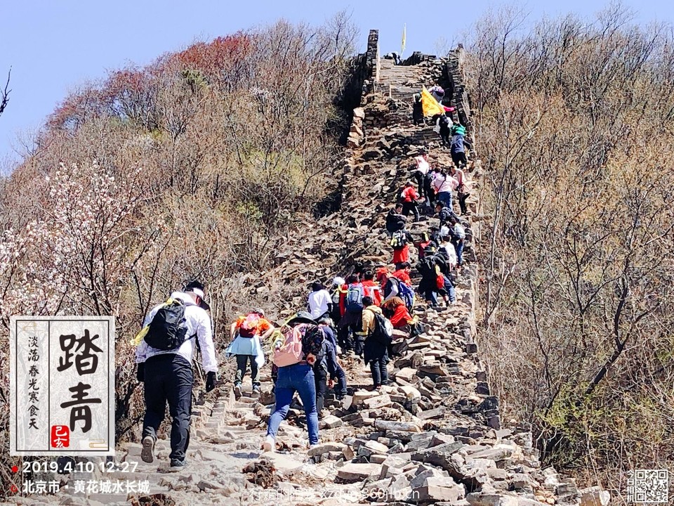 mmexport1554957067199