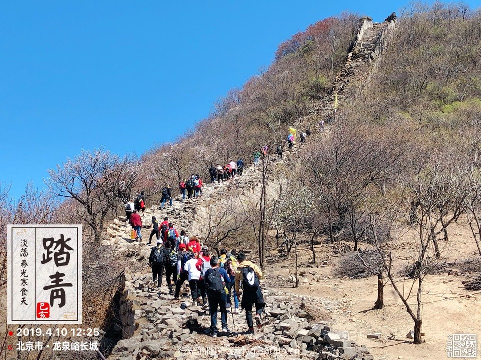 mmexport1554957051018