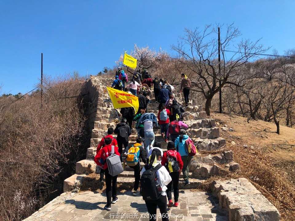 mmexport1554956735760