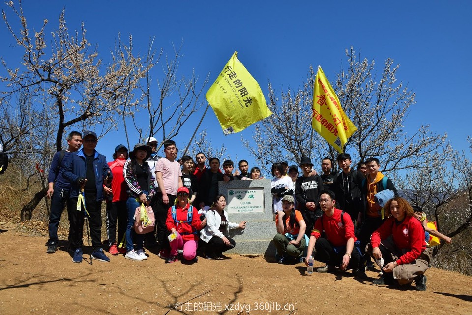 mmexport1554956469755