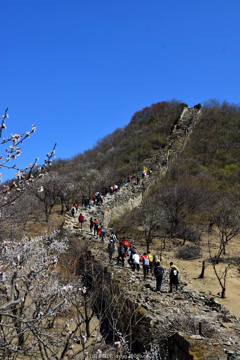 mmexport1554956448738