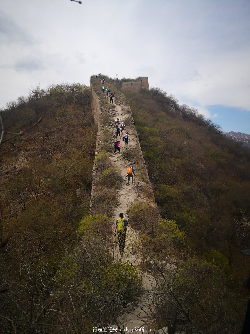 mmexport1555291757860