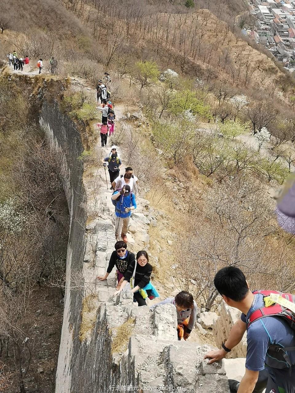 mmexport1555291741566