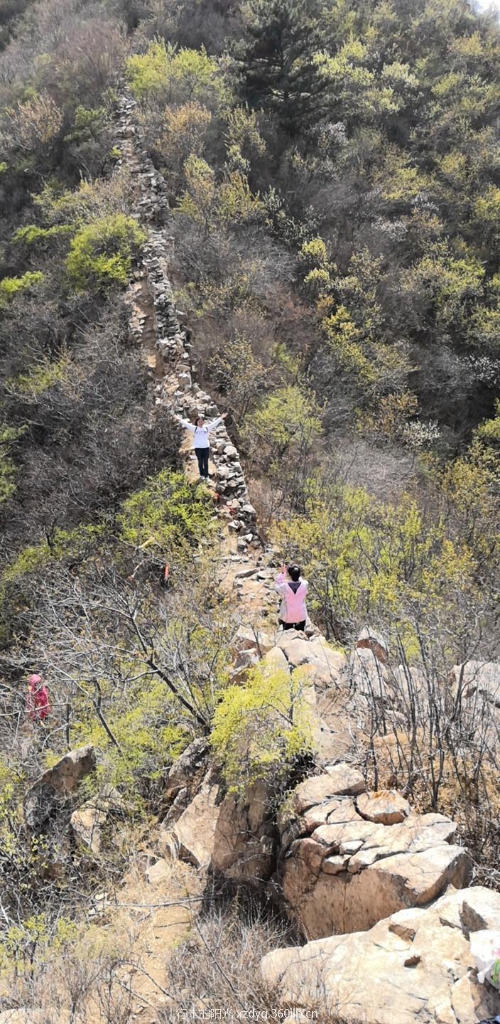 mmexport1555289555819