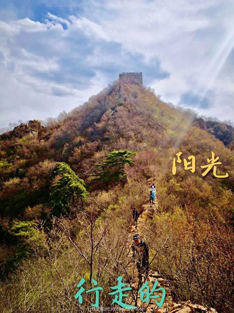 mmexport1555416874954