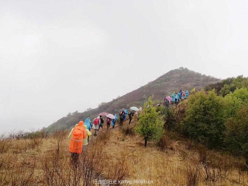 mmexport1556536079885