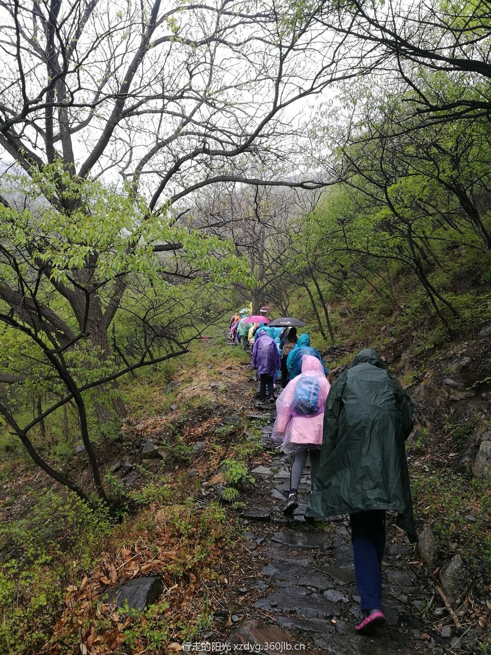 mmexport1556525865899