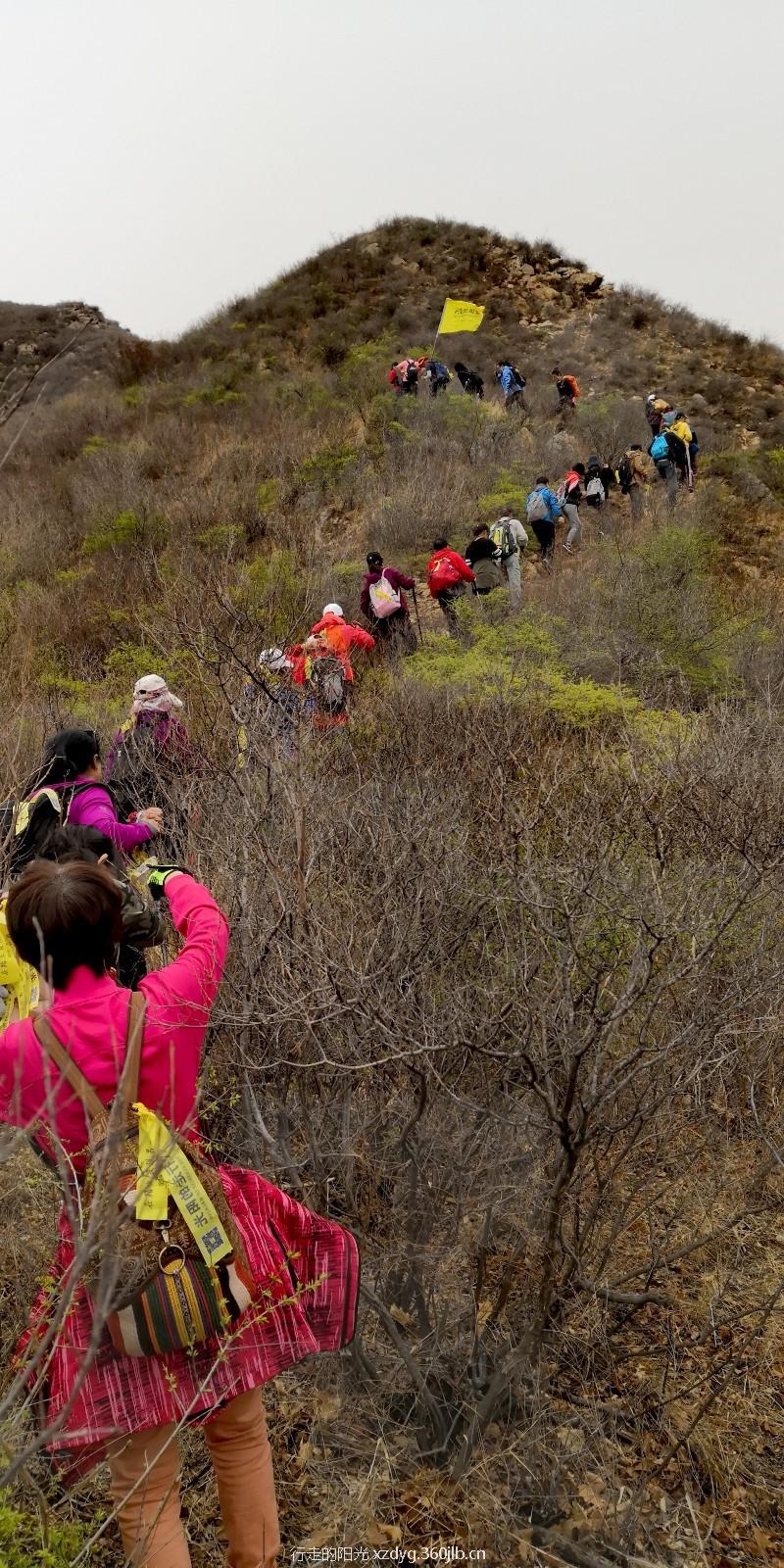 mmexport1555854645822