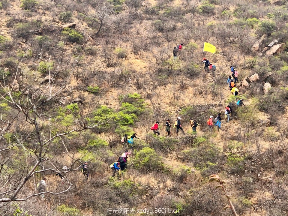 mmexport1555854136845