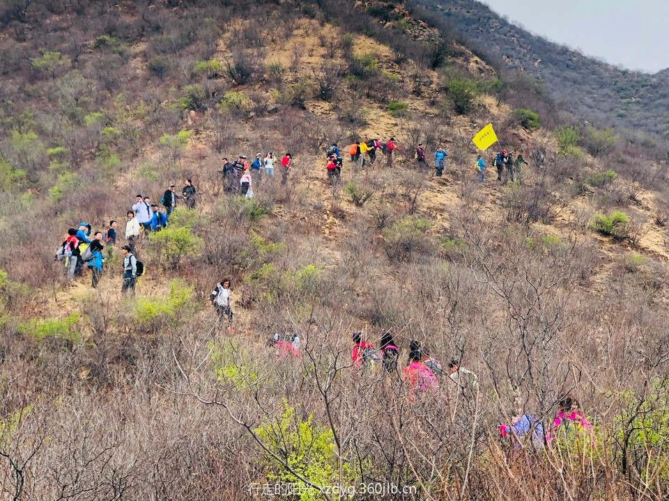 mmexport1555854039912