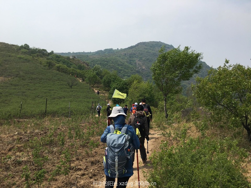 mmexport1557666200893