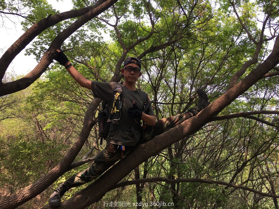 mmexport1557666151108