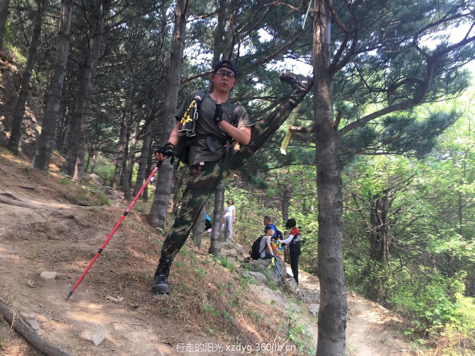 mmexport1557666137360