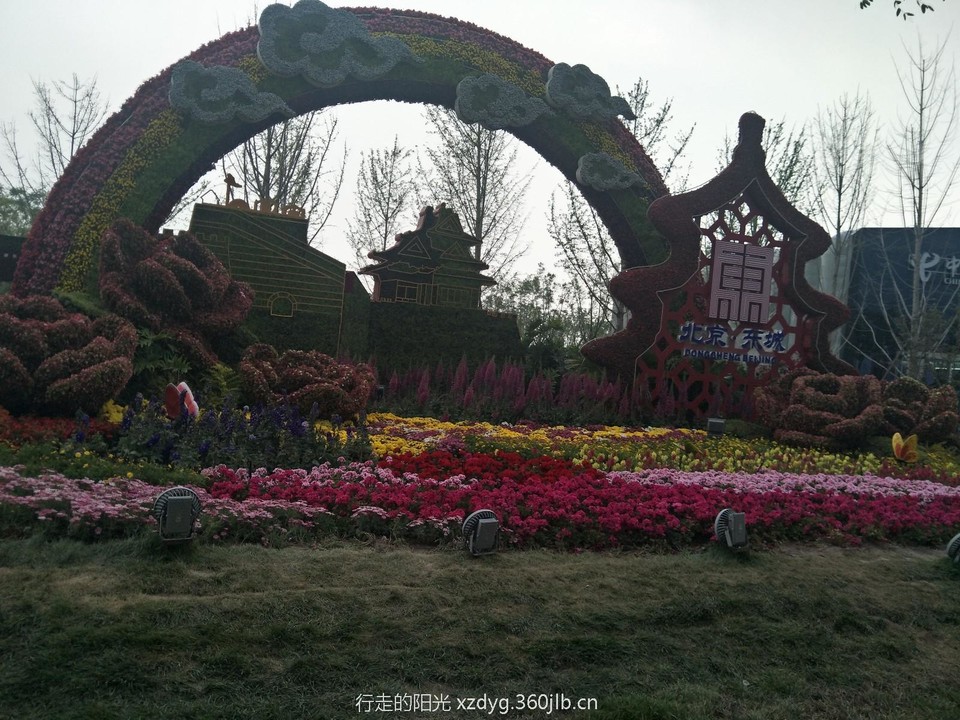 mmexport1557577984356