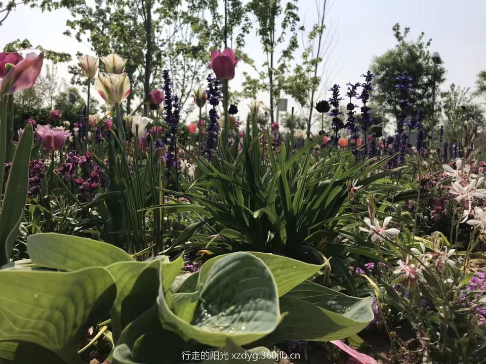 mmexport1557581000040