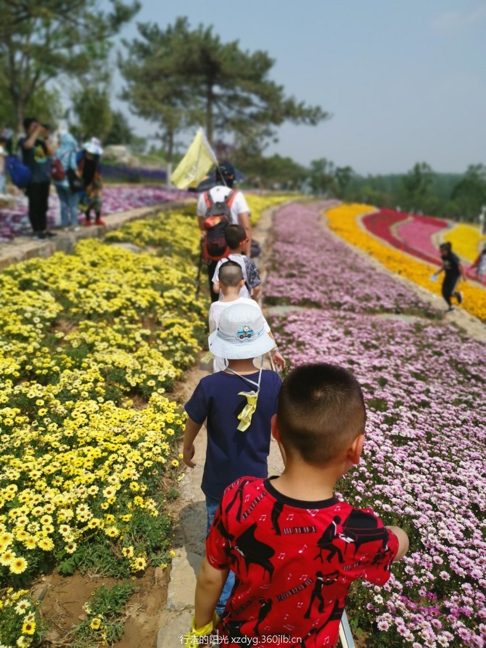 mmexport1557571887194