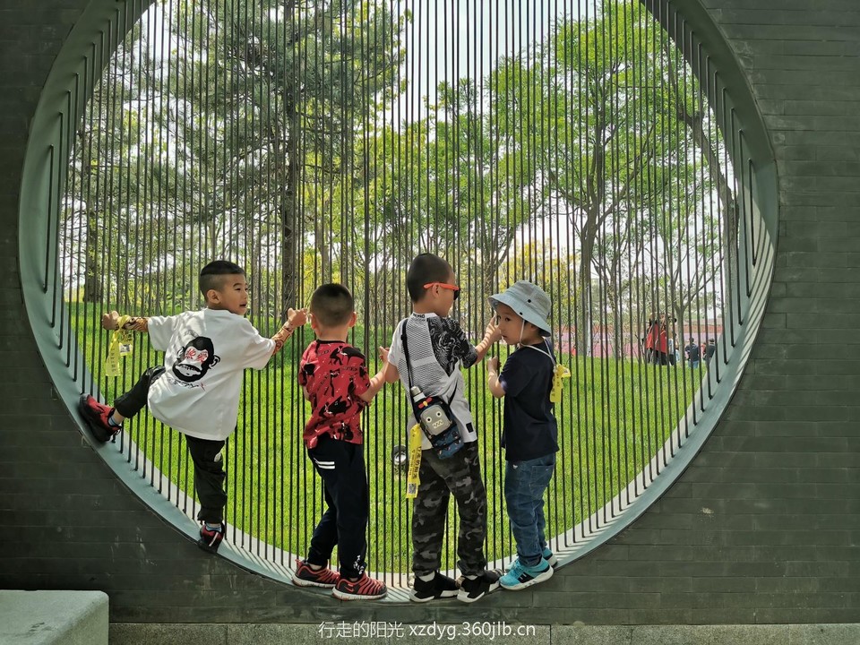 mmexport1557571855253