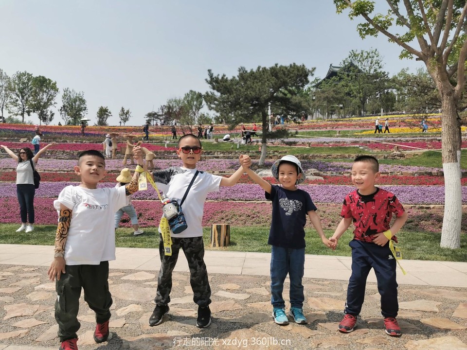 mmexport1557571824461