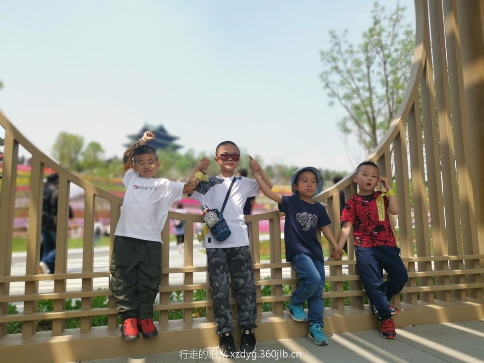 mmexport1557571773590