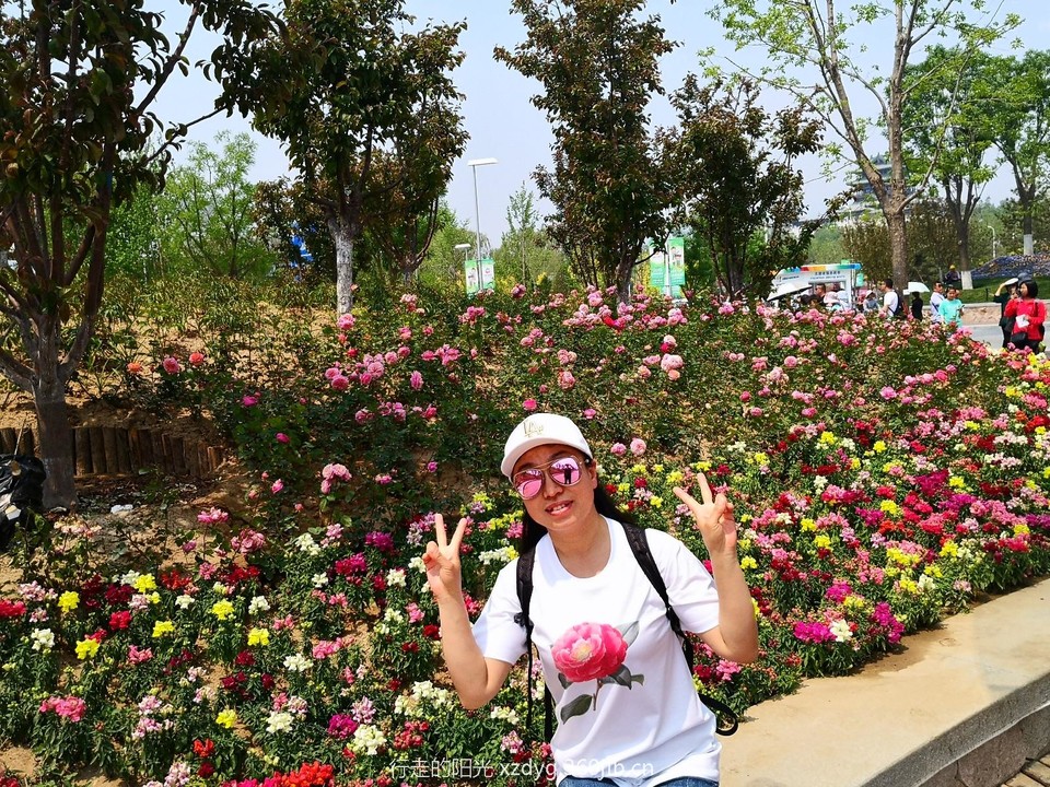 mmexport1557571688534