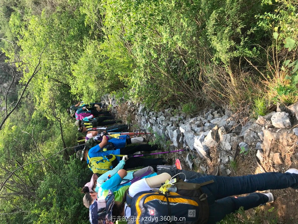 mmexport1558831063431