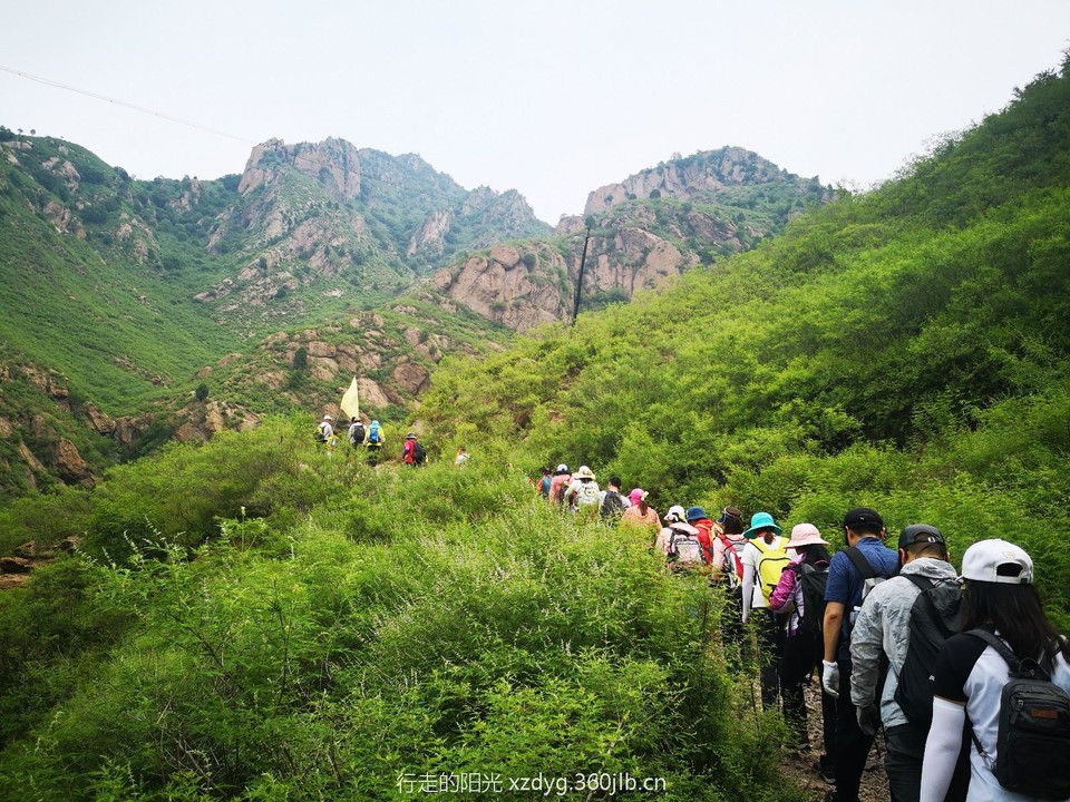 mmexport1560661719900