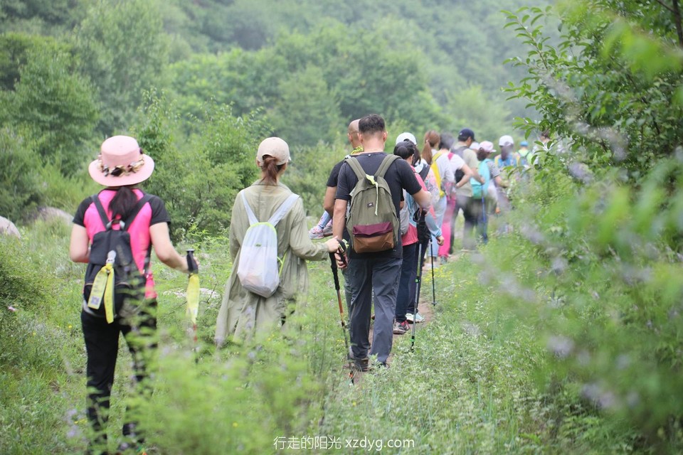 mmexport1563788071353