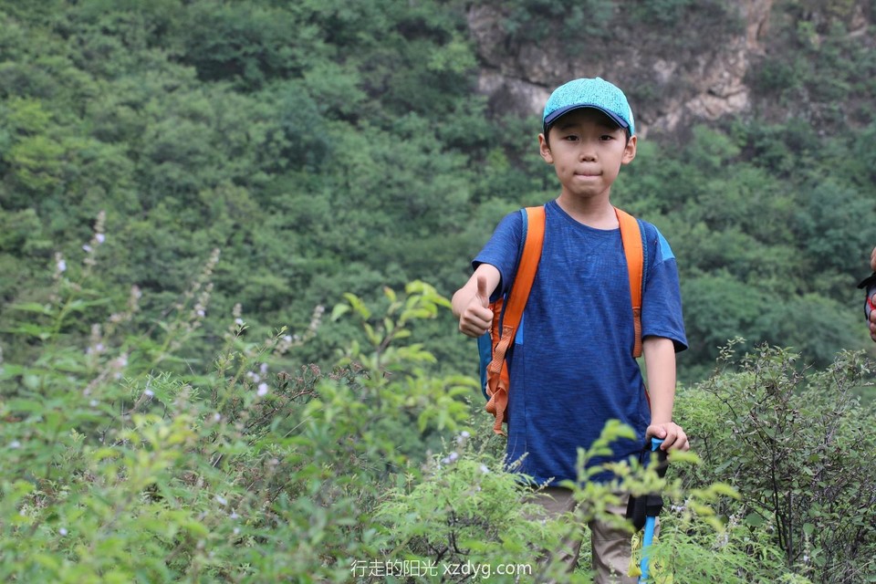 mmexport1563787962615