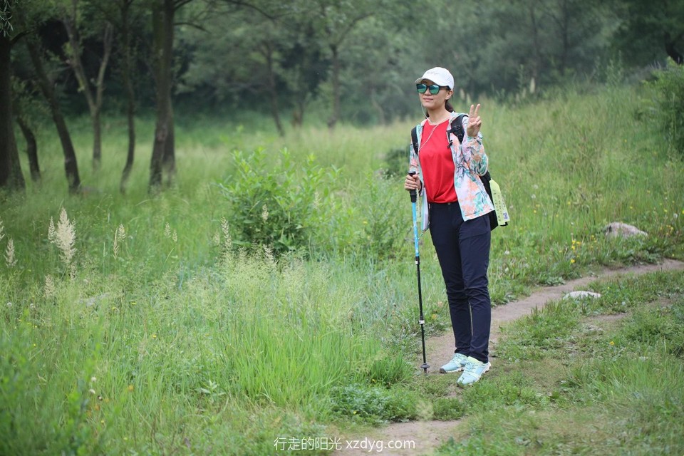 mmexport1563784306407