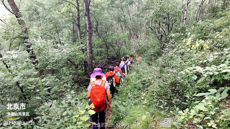 mmexport1563706687259