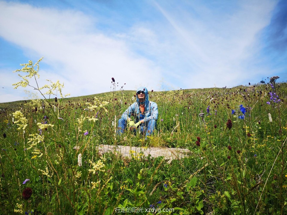 mmexport1564920495281