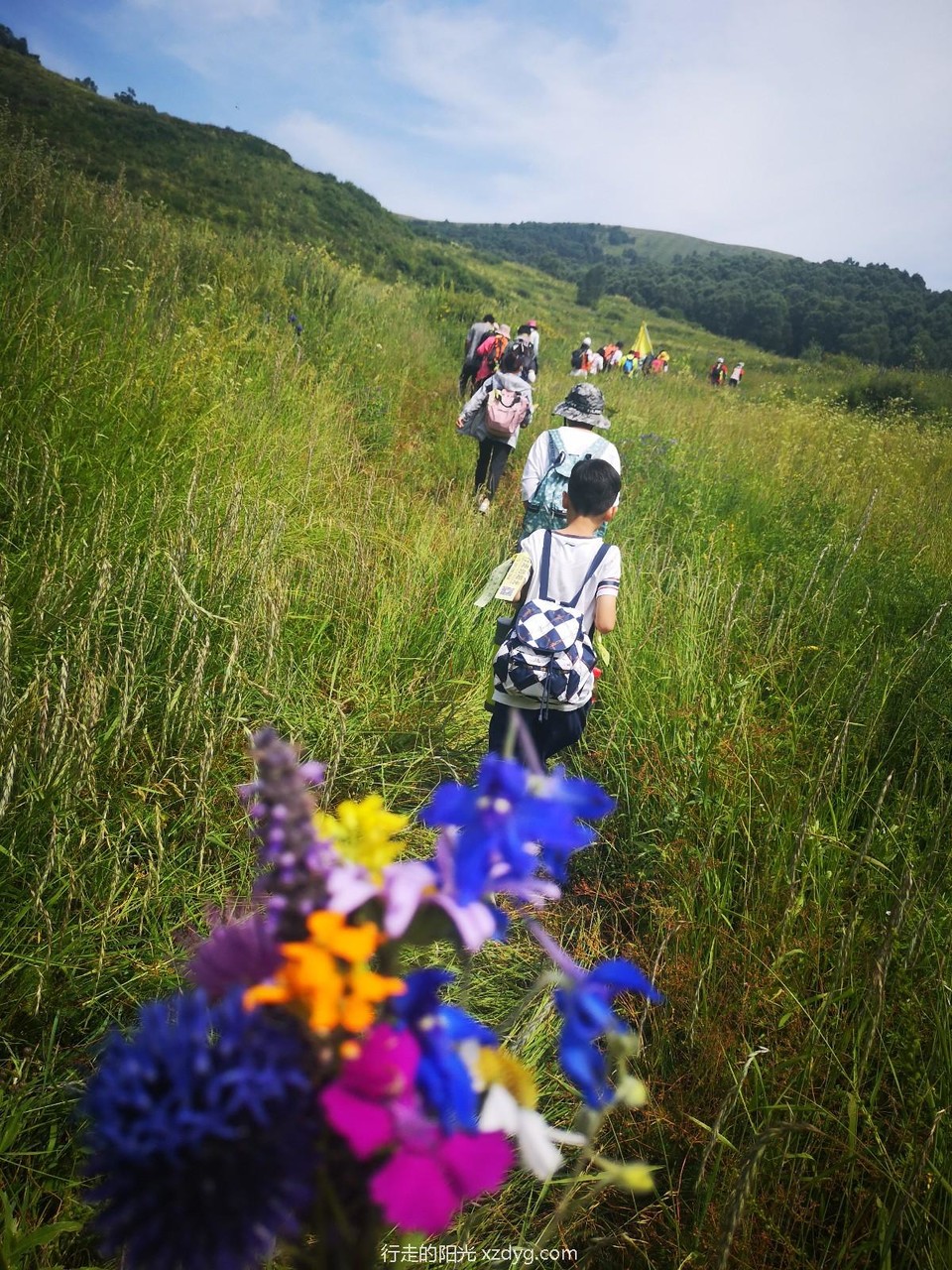 mmexport1564919931004