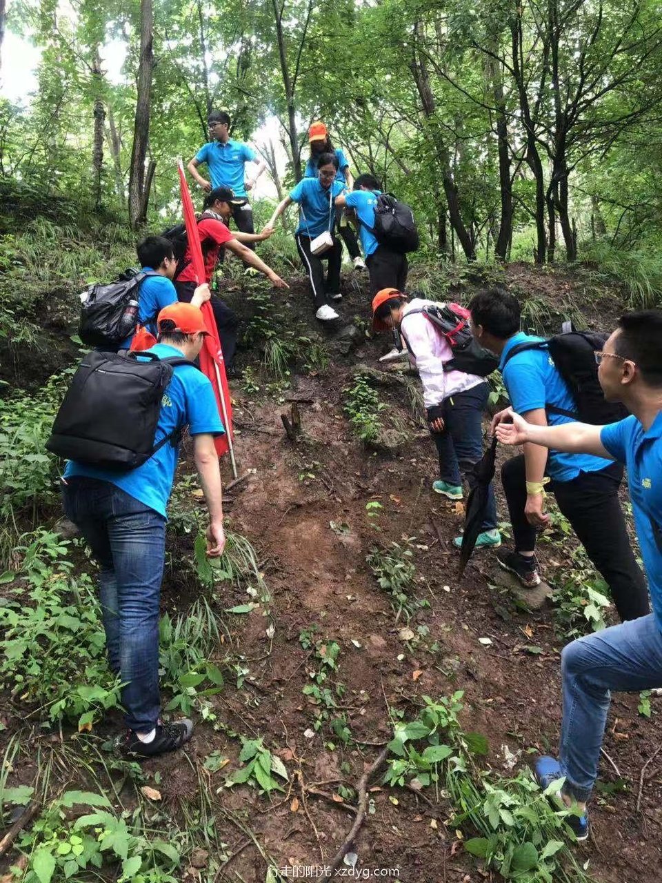 mmexport1564794225510