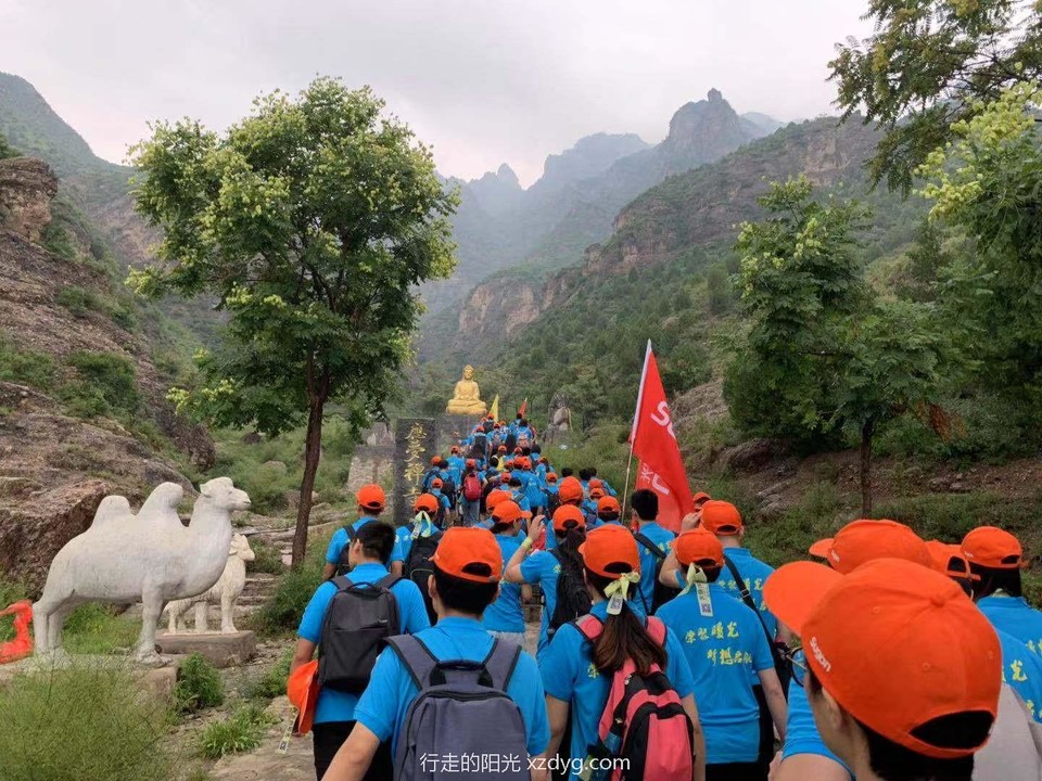 mmexport1564794198629