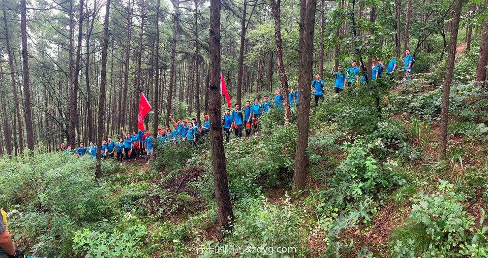 mmexport1564794056792