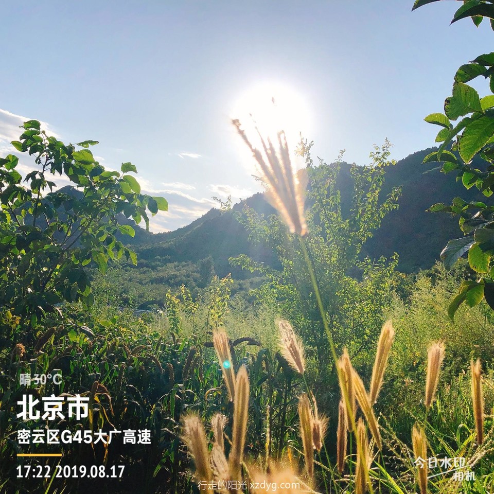 mmexport1566141112725