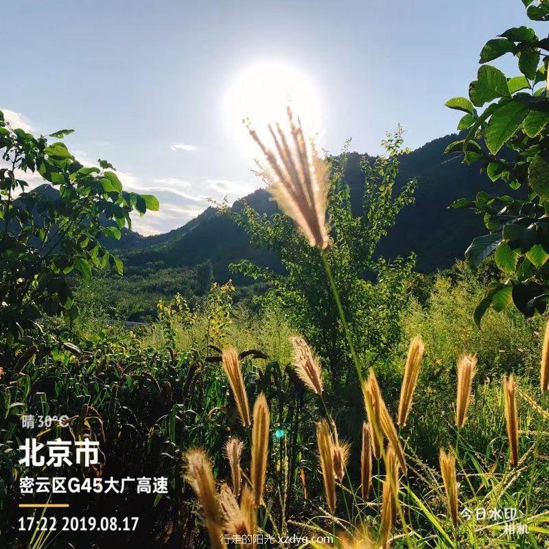 mmexport1566117815134