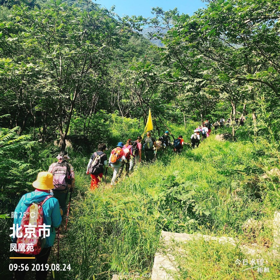 mmexport1566703314424